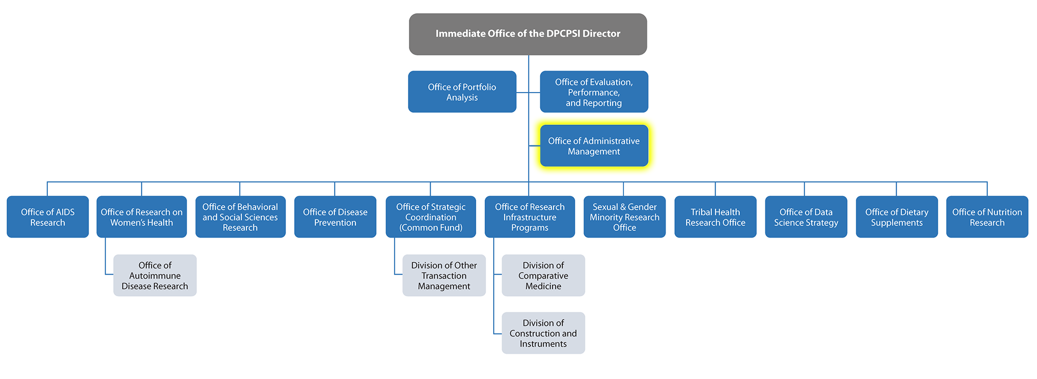 DPCPSI Organizational chart
