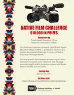 National Film Challenge flyer - Click to view the PDF