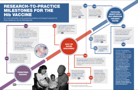 Research-to-Practice Milestones for the Hib Vaccine