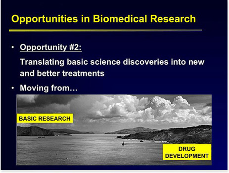 Slide 7 [Photo of two bodies of land separated by a large body of water. A label for basic research is on the left shore and a label for drug development is on the right shore.]