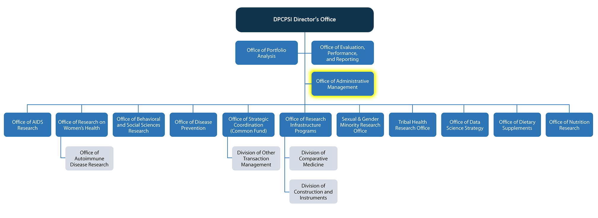 DPCPSI Organizational chart