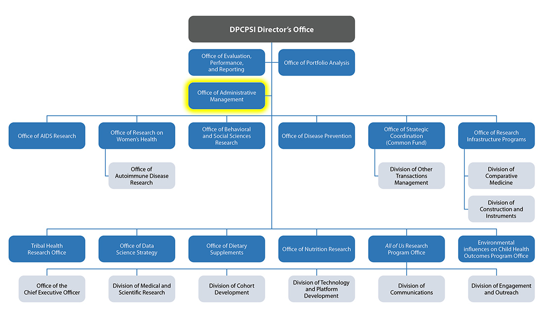 DPCPSI Organizational chart