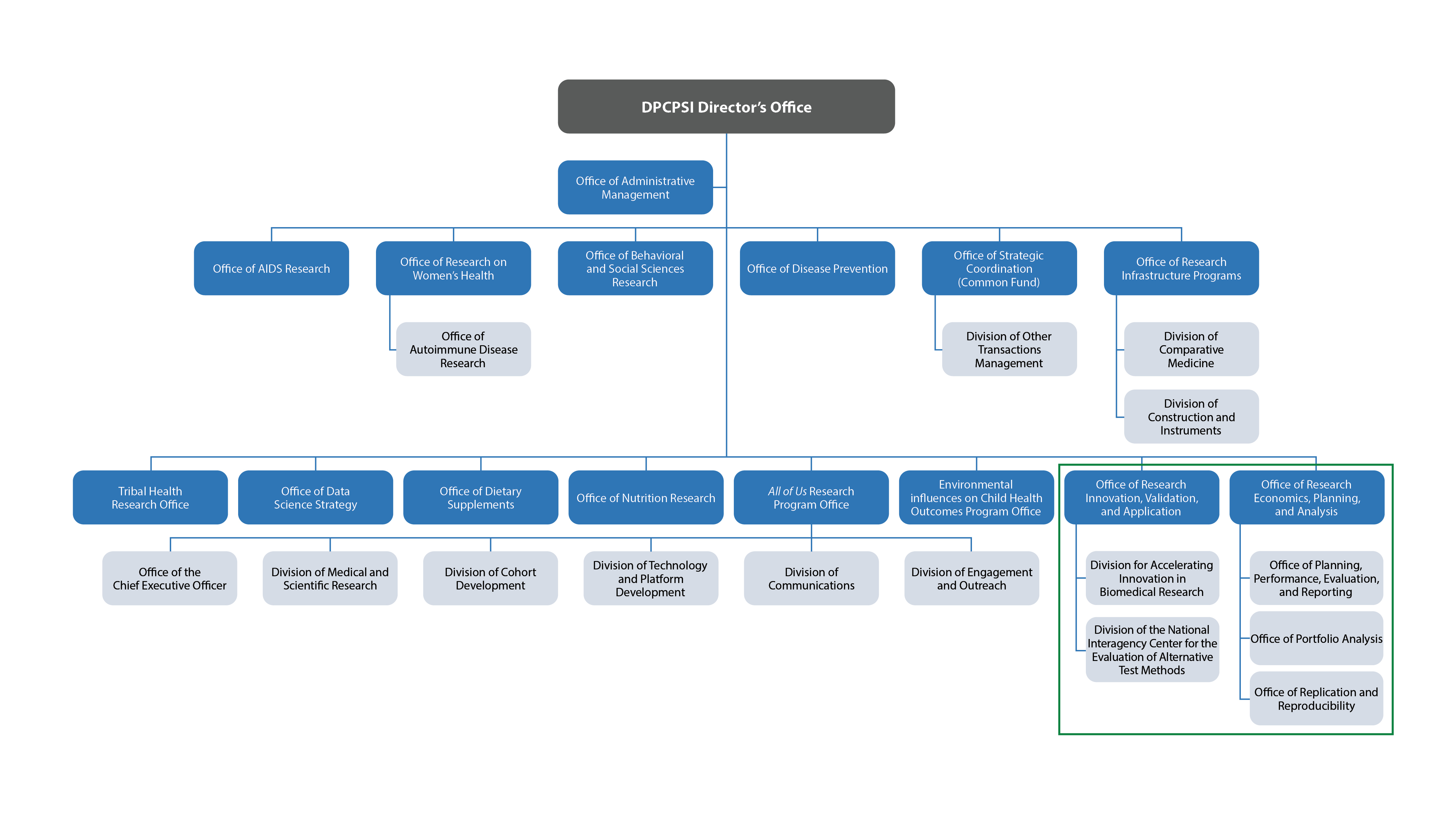 Proposed DPCPSI Organizational chart