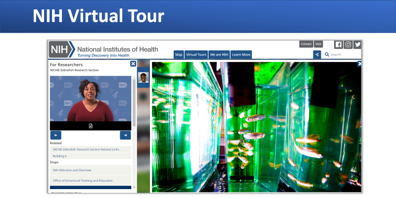 NIH Virtual Tour screenshot
