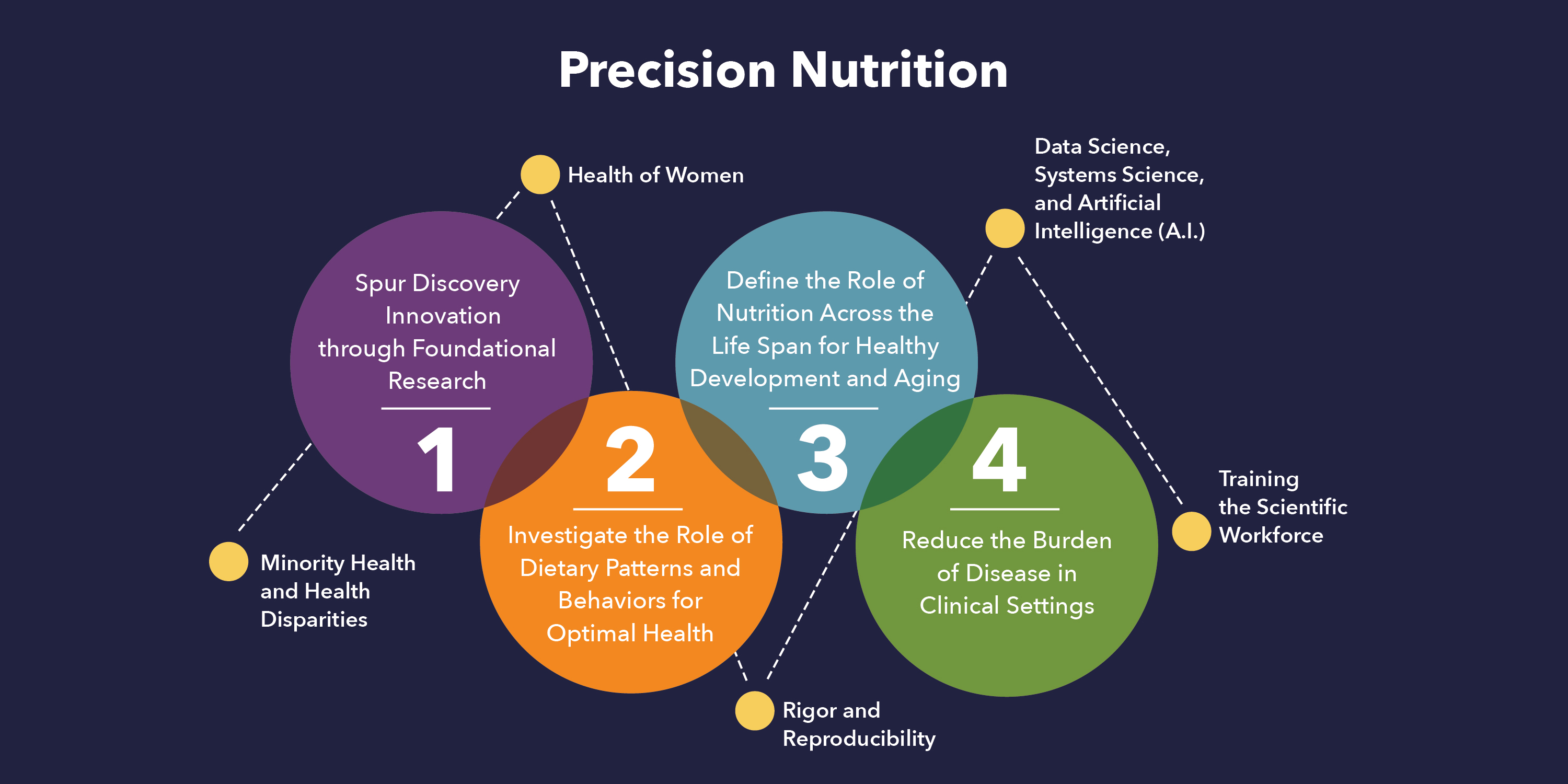 Image depicting that the 2020-2030 Strategic Plan for NIH Nutrition Research is organized around a central unifying vision of Precision Nutrition research. Progress in each of the Plan’s four Strategic Goals, as well as the five Cross-Cutting Research Areas, are essential to achieve this vision.