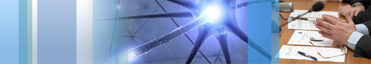 A network of neurons. Participants’ hands resting on a table during a meeting.