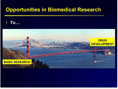 Slide 8 [Photo of a bridge across two shores. The left shore is labeled basic research, and the right shore is labeled drug development.]