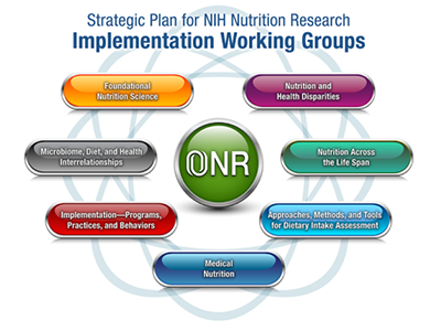 Implementation Work Groups