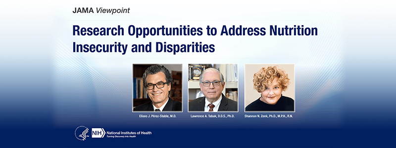 Research Opportunities to Address Nutrition Insecurity and Disparities
