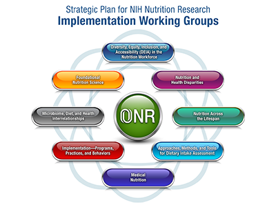 Implementation Working Groups