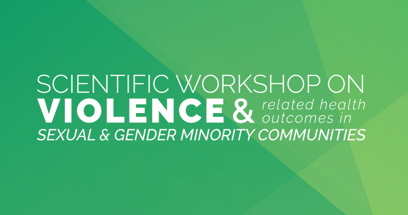Scientific Workshop on Violence in SGM Communities Banner