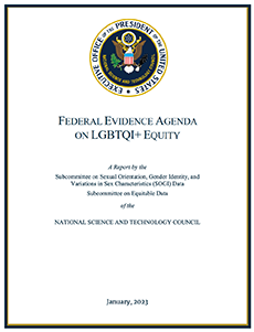 White House report cover