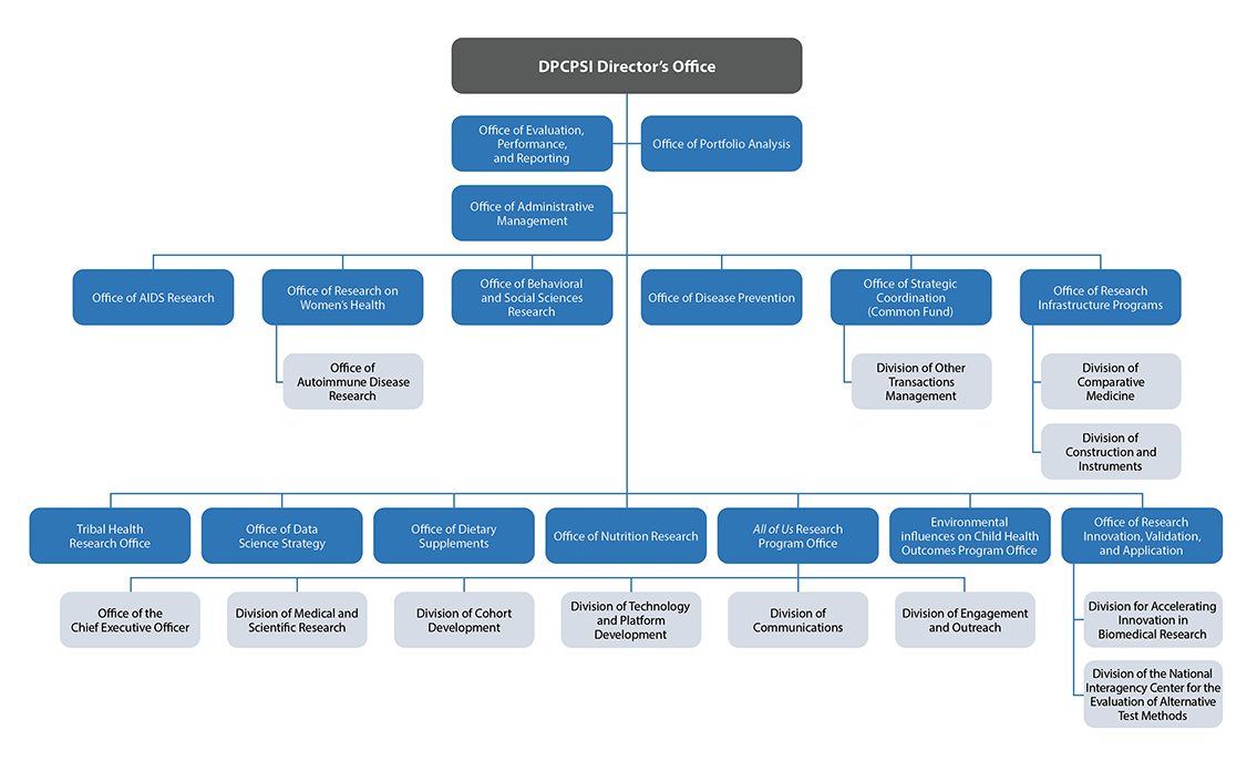 DPCPSI Organizational chart