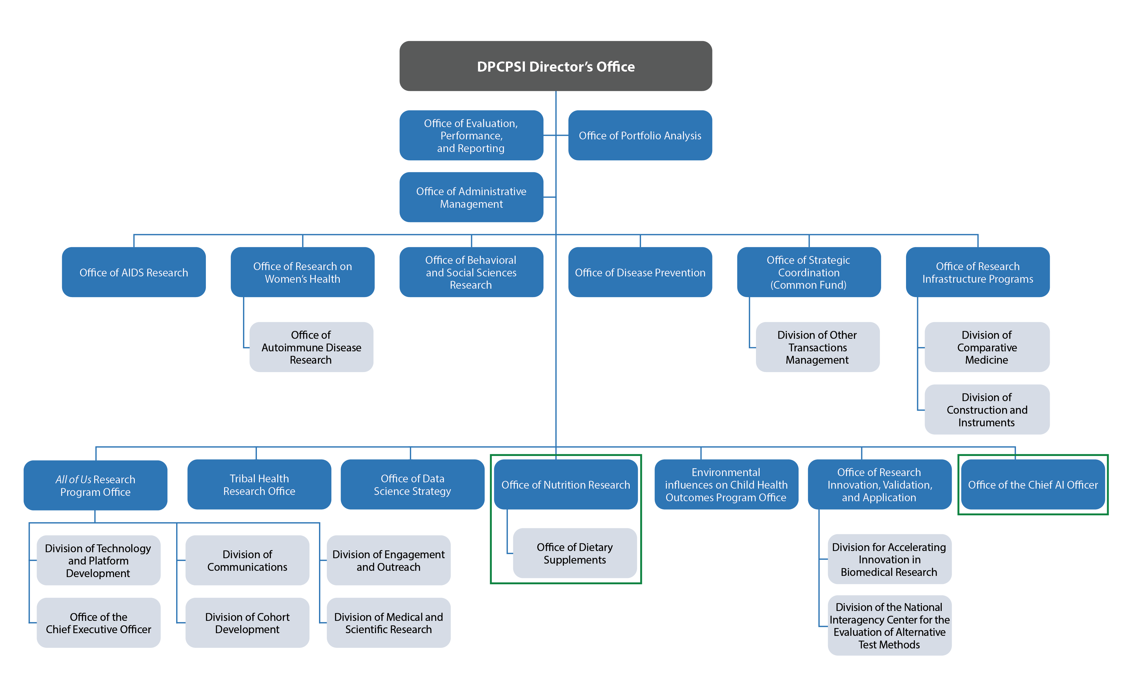 Proposed DPCPSI Organizational chart